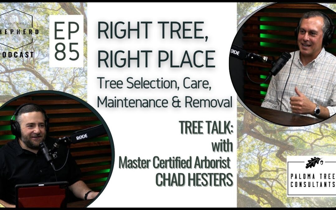 EP 85 | “Right Tree, Right Place” The Root of the Matter with Arborist Chad Hesters